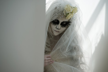 Similar image 6565252