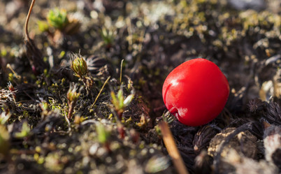 Similar image 6565259