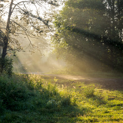 Similar image 6565261