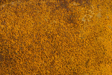 Similar image 6565262