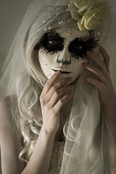 Similar image 6565302