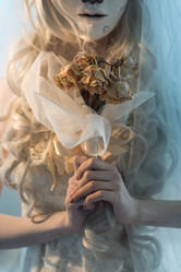 Similar image 6565311