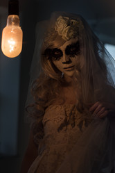 Similar image 6565314