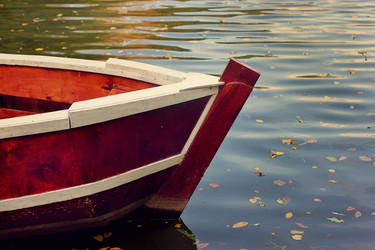 Similar image 6565328