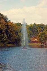 Similar image 6565329