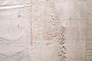 Similar image 6565349