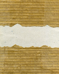 Similar image 6565361