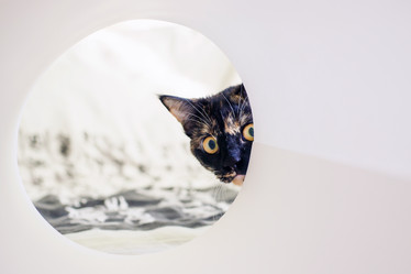 Similar image 6565496