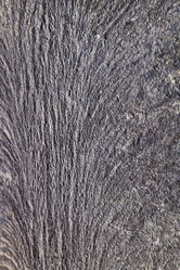 Similar image 6565510