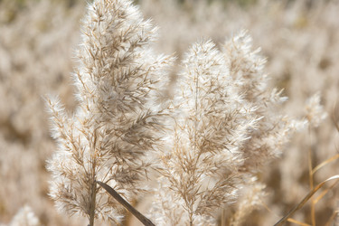 Similar image 6565546