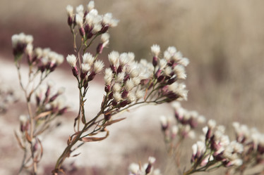 Similar image 6565548