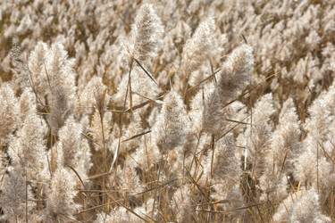 Similar image 6565549