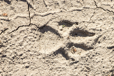 Similar image 6565551