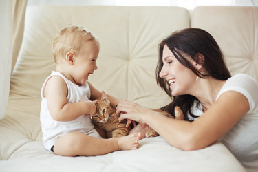 Similar image 6565687