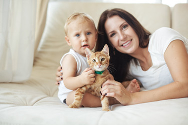 Similar image 6565688