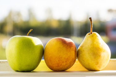 Similar image 6565809