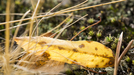 Similar image 6565821