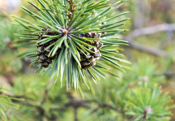 Similar image 6565823