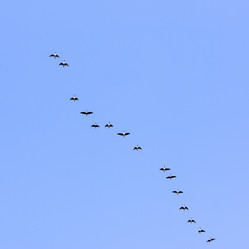 Similar image 6565825