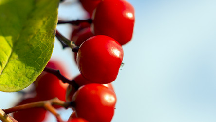 Similar image 6565826