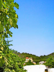 Similar image 6565833