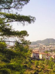 Similar image 6565835