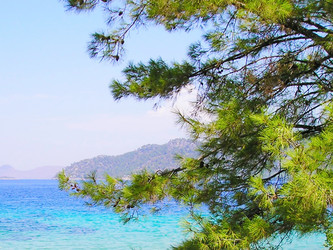 Similar image 6565837