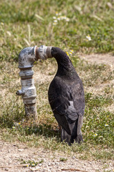 Similar image 6565849