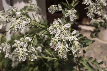 Similar image 6565851