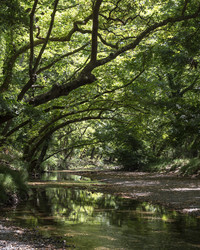 Similar image 6565852