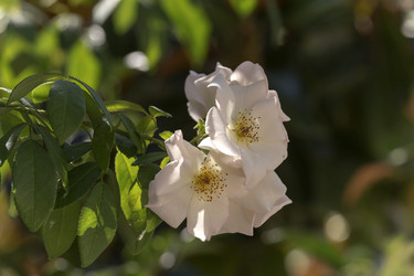 Similar image 6565854