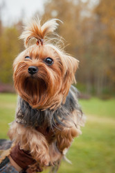 Similar image 6565860