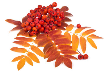 Similar image 6582662