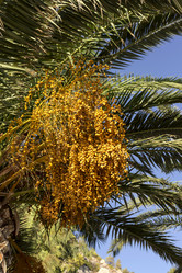 Similar image 6582666