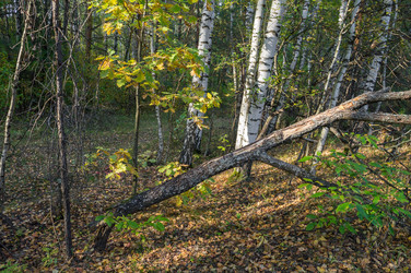 Similar image 6582671