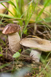 Similar image 6582689