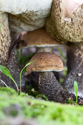 Similar image 6582690