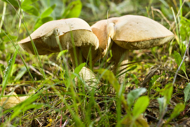 Similar image 6582691