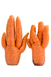 Similar image 6582692