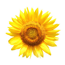 Similar image 6582715