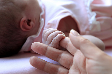 Similar image 6582737