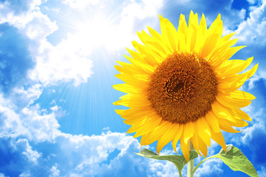 Similar image 6582772