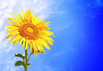 Similar image 6582773