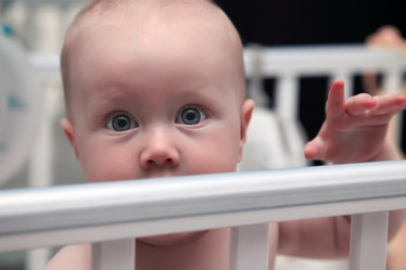 Similar image 6582811