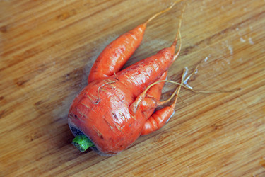 Similar image 6582822