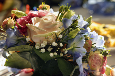 Similar image 6582823