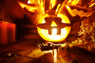 Similar image 6582886