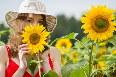 Similar image 6582996