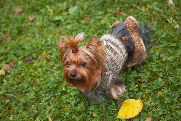 Similar image 6583030