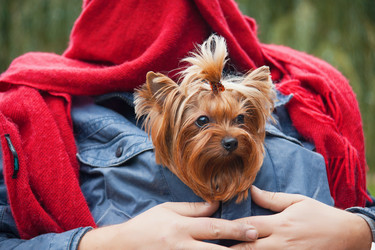 Similar image 6583034